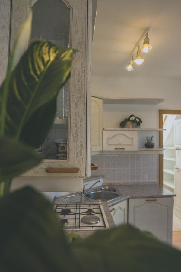 Apartment Amak With Free Onsite Parking Бовец Екстериор снимка